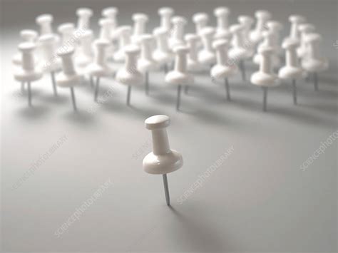 White Push Pin Stock Image F0171879 Science Photo Library