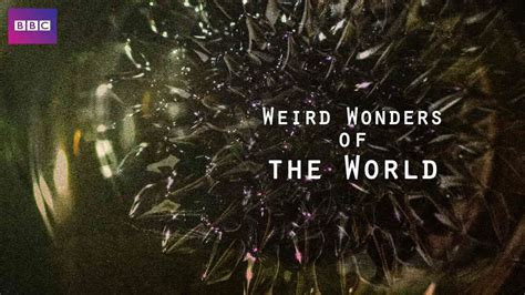 Is Documentary Weird Wonders Of The World 2016 Streaming On Netflix