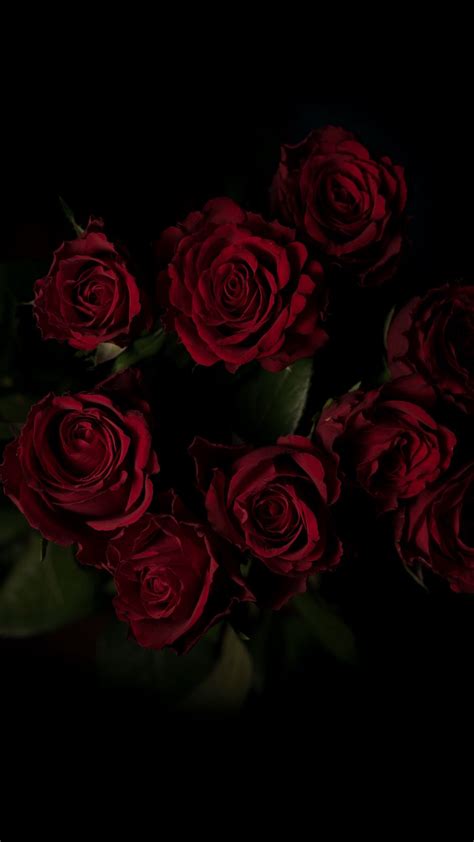 Download Wallpaper 938x1668 Roses Bouquet Red Dark Background Iphone