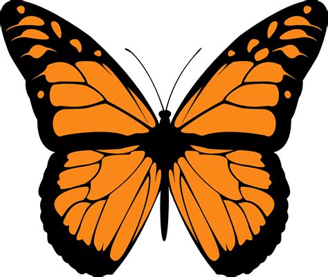Monarch Butterfly Clip Art Transparent