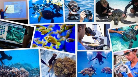 Employment Opportunities In The Maldives At Marine Savers