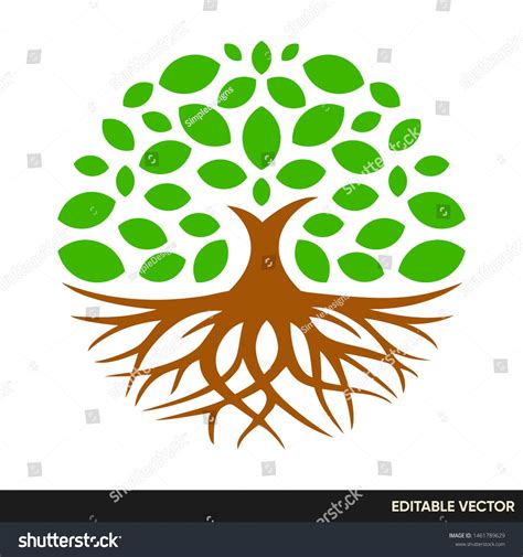 Circle Plant Tree Logo Leaf And Root Literal Vector Roots Logo Tree