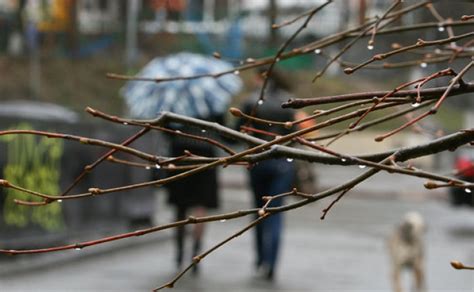 Самый точный прогноз погоды для локации киев дается на срок от 1 до 7 суток. Прогноз погоды на сегодня - 17 марта в Украине пройдут ...