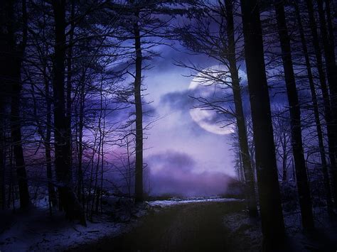 1080p Free Download Moonlit Forest Trees Moonlight Forests Nature