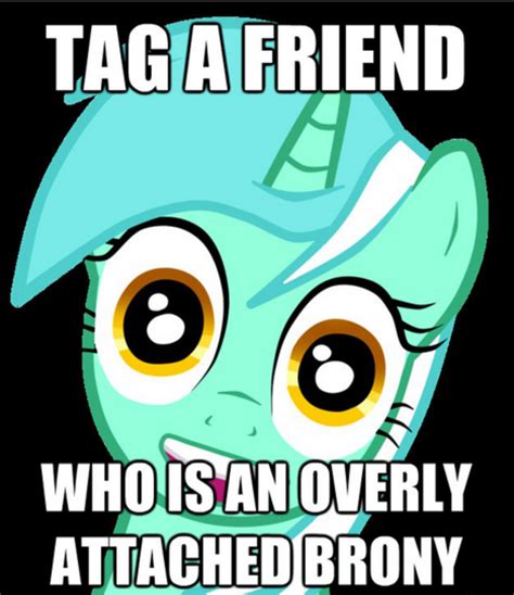 Overly Attached Brony My Little Pony Friendship Is Magic Know Your