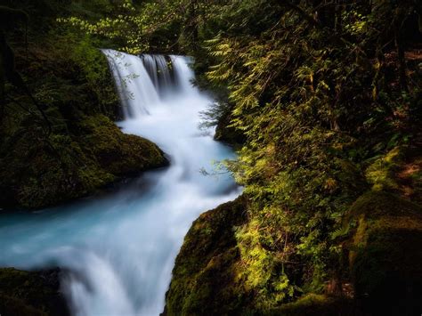 River Time Lapse Photography Of River On Forest Waterfall Image Free Photo