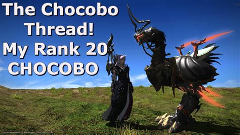 Submitted 3 years ago * by playlolallday. Get Chocobo Barding Pics - Bepe Enthusiastic