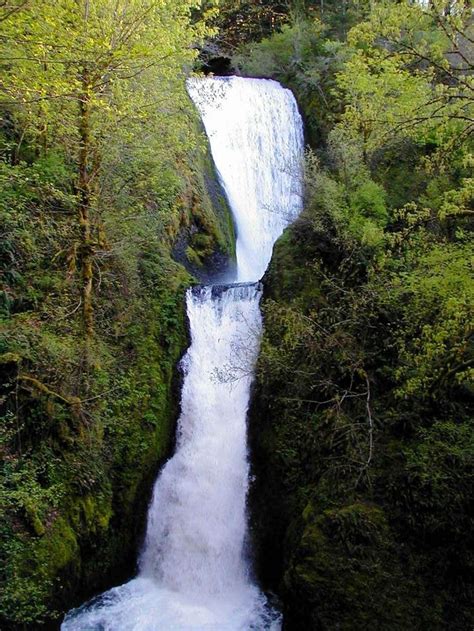 Bridal Veil Falls Oregon State Of Oregon Pinterest