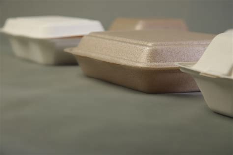 It frequently is used in applications where hygiene is important. Expanded Polystyrene Food Containers / Closed Polystyrene ...