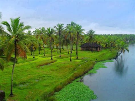 The 13 leading malayalam newspaper websites from kerala are taken for evaluation in the present study. Natural Beauty of Kerala #kerala #beauty- pretty as an oil ...