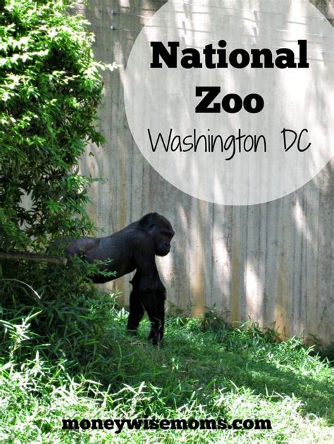 National Zoo Washington Dc Moneywise Moms National Zoo Washington