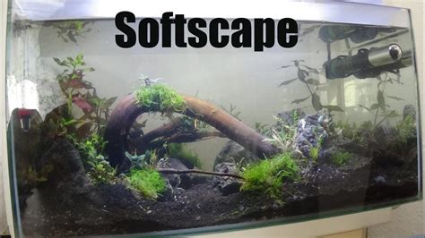 These range from simple to complex with some taking many years to. How to Softscape Super Fish Home 25 Liter Aquarium ...