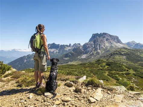 These products are mostly organic and they do not compromise any additives that may harm your pet's health. Top 10 Nearby Dog-Friendly Hikes in Colorado - 303 Magazine