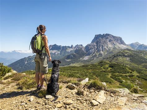 Pet friendly flooring, oxford, georgia. Top 10 Nearby Dog-Friendly Hikes in Colorado - 303 Magazine