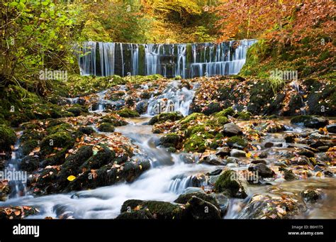 A Waterfall In Autumn On The Way To Stock Ghyll Falls Or Force In The