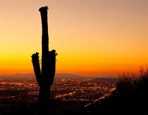 Sunrise and sunset in phoenix, as well as day length, twilight and solar noon for every day of the check out today's and tomorrow's sunrise and sunset times in phoenix, arizona, united states, as. Sunset On Phoenix With Saguaro Cactus Photograph by Susan ...