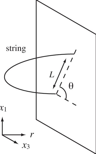The Fundamental String Connecting The Quark Antiquark Pair The Shape