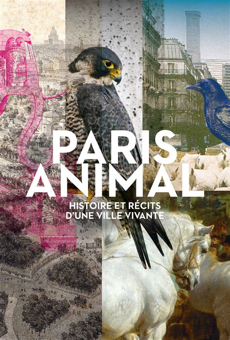Paris Animal Au Pavillon De Larsenal à Paris Lexposition à Ne