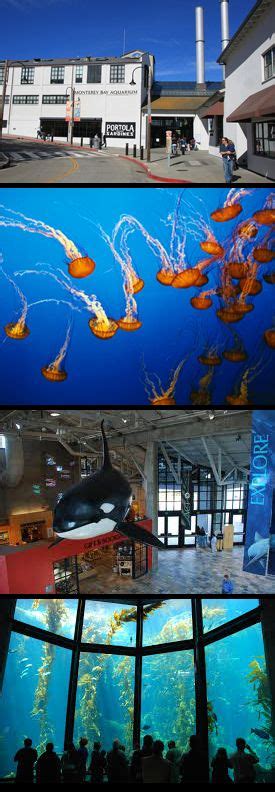The Monterey Bay Aquarium In Cannery Row Is One Of The Nations Best