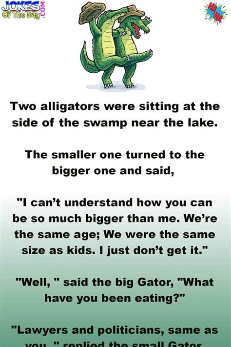 Joke The Big Alligator Explains Why His Companion Is Much Smaller