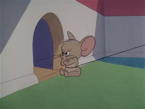 Angry Tom And Jerry Cartoon Images Tom And Jerry Angry Scene Images Cartoon