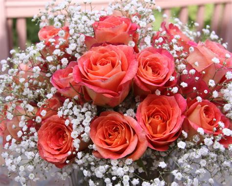 Whether your daughter is inclined towards a tiara or a catcher's mask, she'll shine brighter, knowing she's treasured by you. IVY LANE DESIGNS: Happy Birthday to Me!