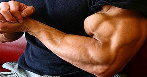 Build Mountain Like Biceps Peaks With These 3 Exercises Fitness