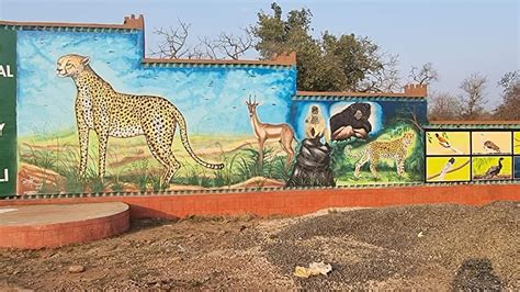 Madhya Pradeshs Kuno National Park Home To Cheetahs From Namibia 5