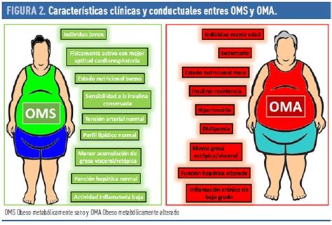 ¿existe el obeso metabólicamente sano revista diabetes