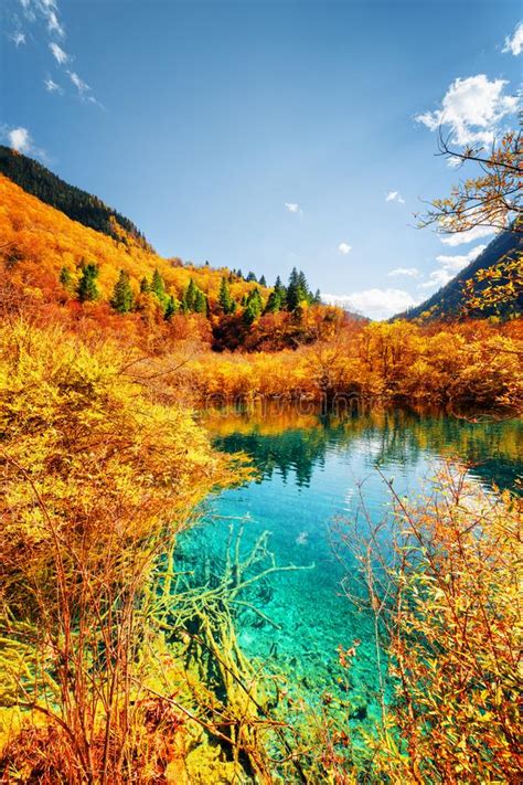 Autumn Forest Reflected In Pond With Azure Crystal Clear Water Stock