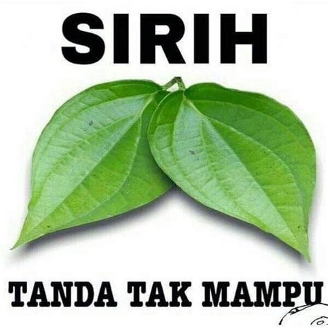 Check spelling or type a new query. Terbaru 12+ Gambar Lucu Mau Ketawa Takut Dosa - Richa Gambar