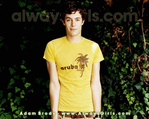 Adam Brody Adam Brody Wallpaper 28529931 Fanpop