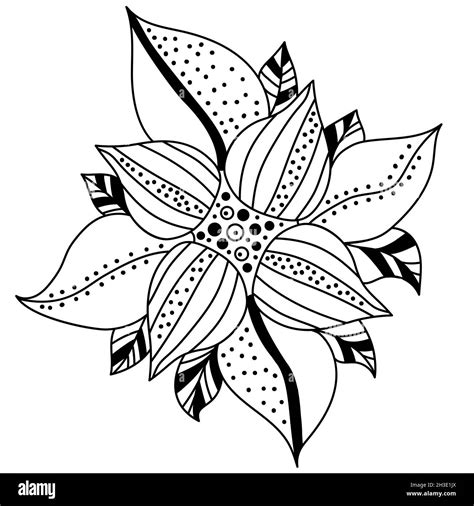 decorative flower vector linear illustration floral decorative composition for design and