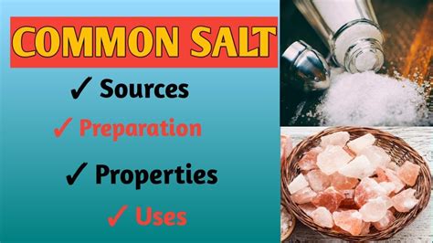 Common Salt Class 10 Acids Bases And Salts Youtube