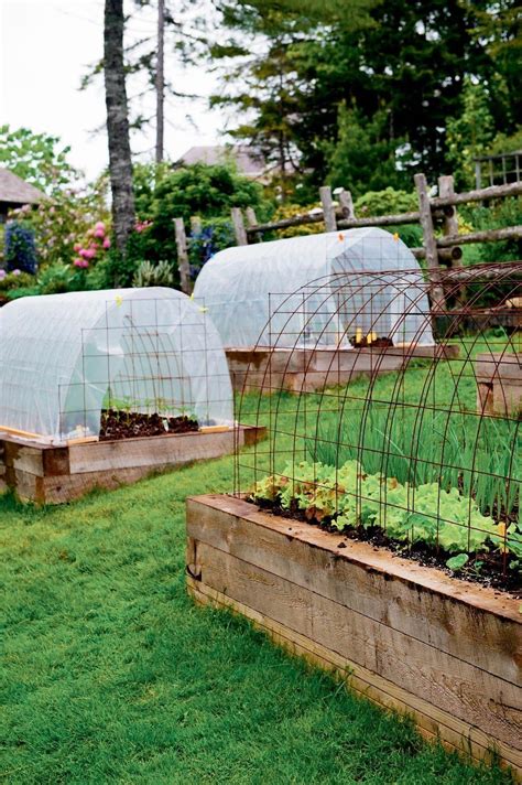 Niki Jabbour The Year Round Veggie Gardener Mini Hoop Tunnels In Summer Raised Garden