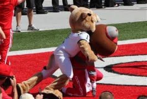 15 Most Savage Mascot Fights In Sports History Bleacher Report