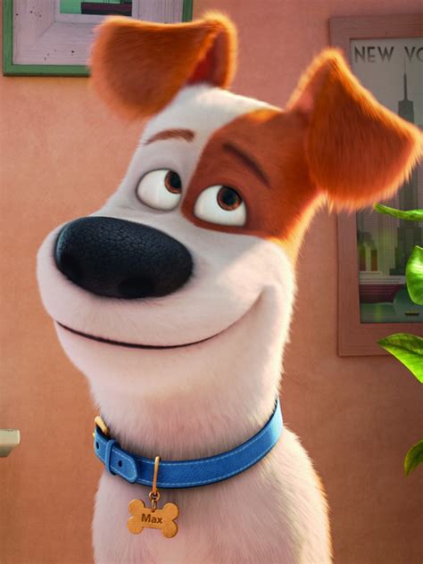 The Secret Life Of Pets Official Clip Max Meets Duke Trailers