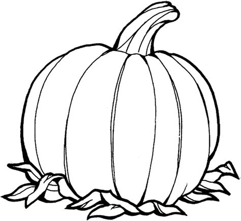 7 Pics Of Pumpkin Coloring Pages Templates - Blank Pumpkin