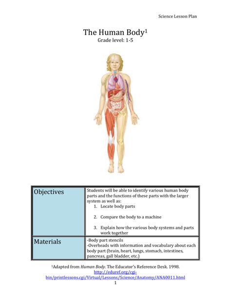 Human Body Systems For 5th Grade