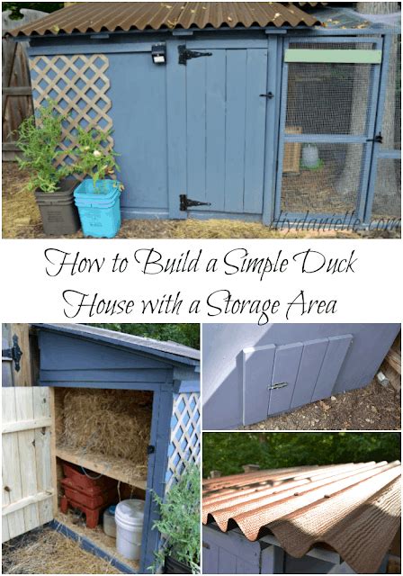 We did not find results for: Build an Easy to Clean Duck Coop with Attached Storage - DIY Danielle