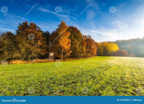 Green Field At Autumnal Morning Stock Photo Image Of Countryside