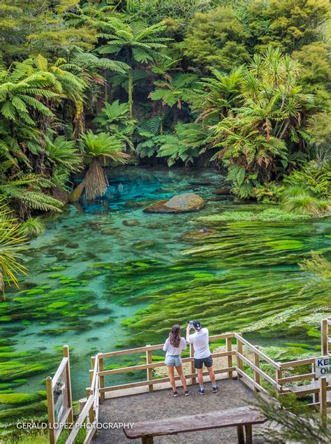 Blue Spring New Zealand On Behance