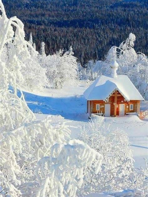 Winter Winter Scenery Winter Landscape Winter Cabin