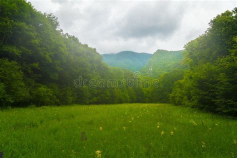 Beautiful Scenery In The Mountains With Lush Green Foliage In Spring
