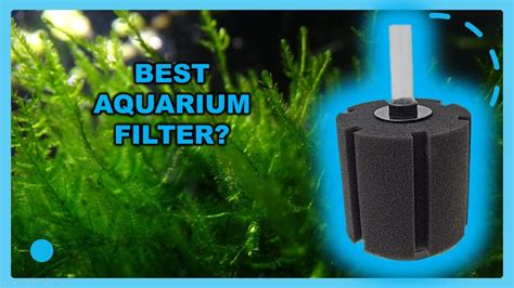 How To Set Up A Sponge Filter Best Aquarium Filter Youtube