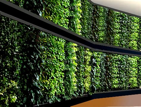 We did not find results for: Agro-Wall Vertical Garden Planting System: Agro-Wall ...