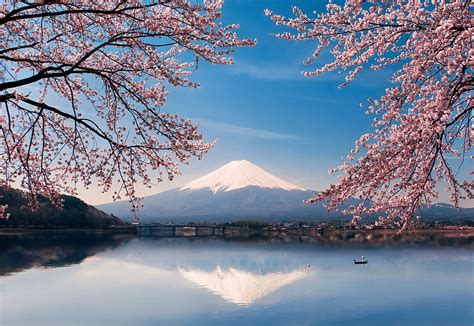 Hd Wallpaper Mt Fuji Japan Water Flowers Lake Boat Spring