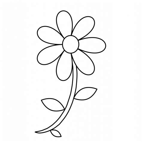 Daisy Drawing Outline At Explore Collection Of