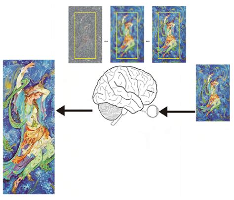 Stages Of The Visual Processing Of An Image An Image That Is Presented