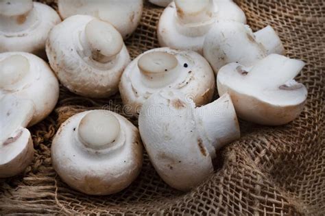 Raw White Button Mushrooms On Rustic Styled Table Surface Stock Photo